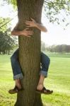 tree hug.jpg