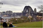 the rocks sydney.jpg